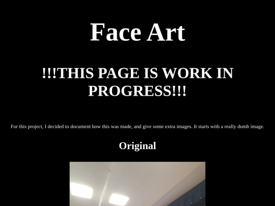compGraphics2/faceArt screenshot