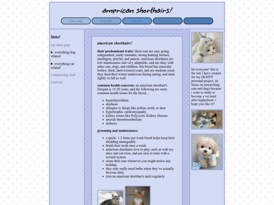 americanshorthair screenshot