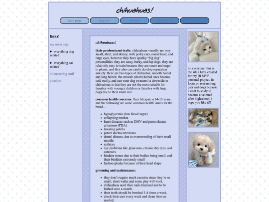 chihuahuas screenshot