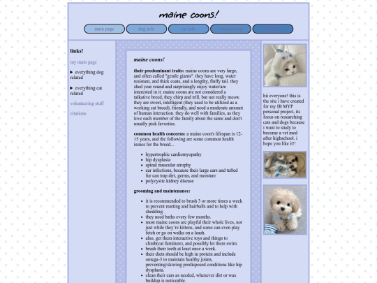 mainecoon screenshot