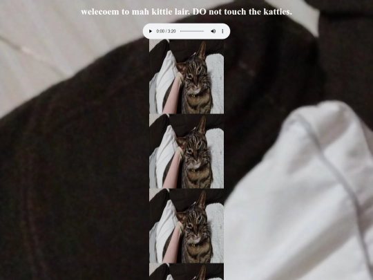 KITTY screenshot