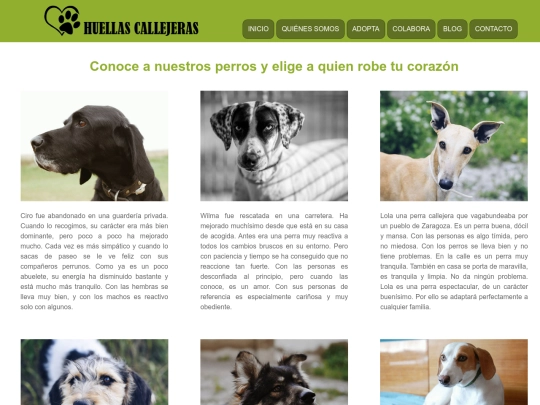 adoptaperros screenshot