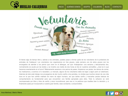 colaboravoluntario screenshot