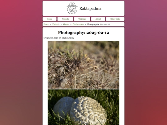 Photography~3A_2025-02-12 screenshot