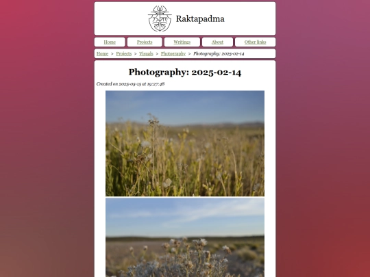 Photography~3A_2025-02-14 screenshot