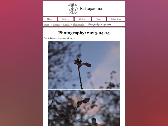 Photography~3A_2025-04-14 screenshot