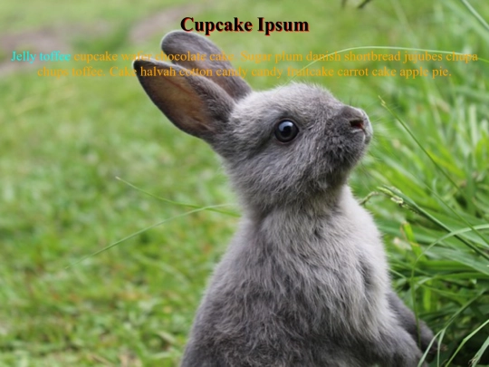 WEB-Design/2-CSS/csspractice2 screenshot