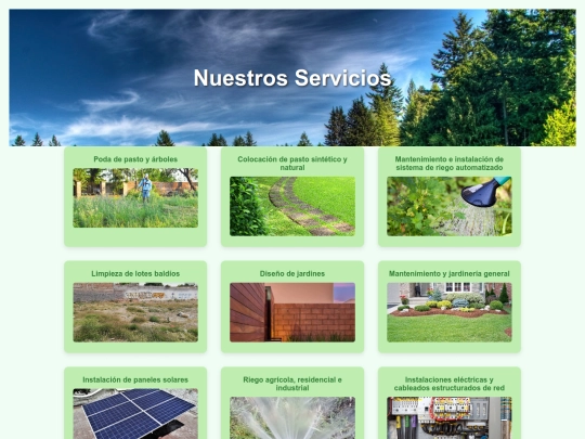 servicios screenshot
