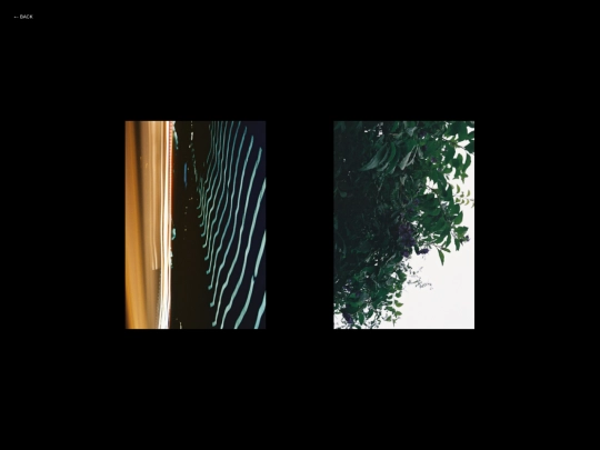 gallery/gallery screenshot