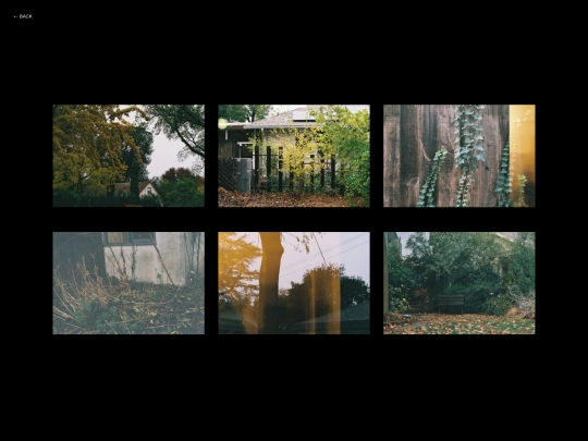 gallery/naturefound screenshot