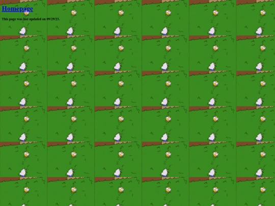 homer screenshot