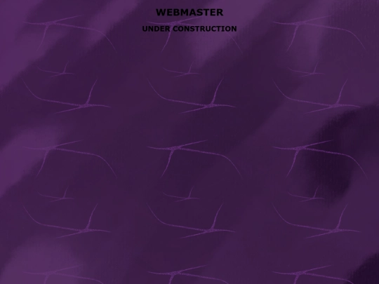 WEBMASTER screenshot