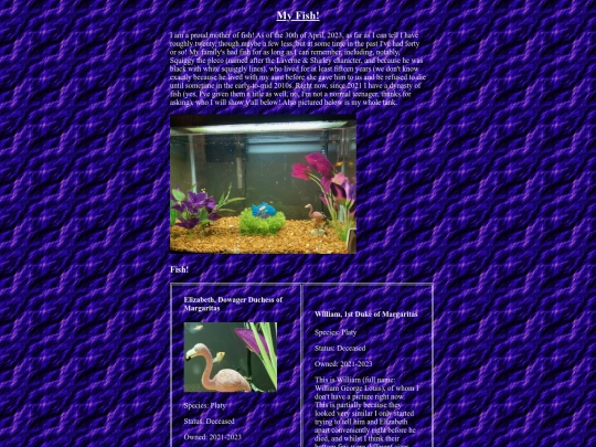 fish/frame screenshot