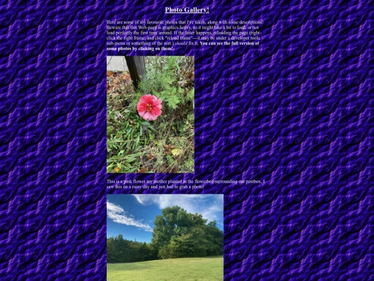 gallery/frame screenshot