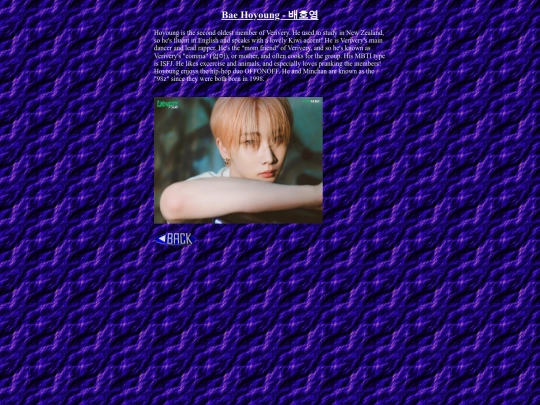 verivery/hoyoung/frame screenshot