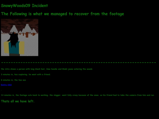 SnowyWoods2009 screenshot