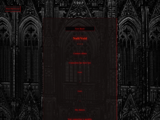 Poetry/Null-void screenshot