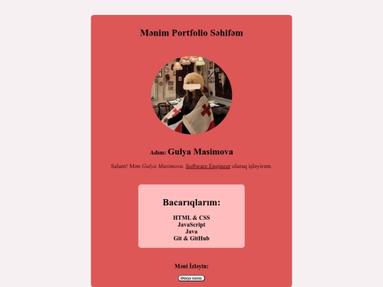 portfolio screenshot