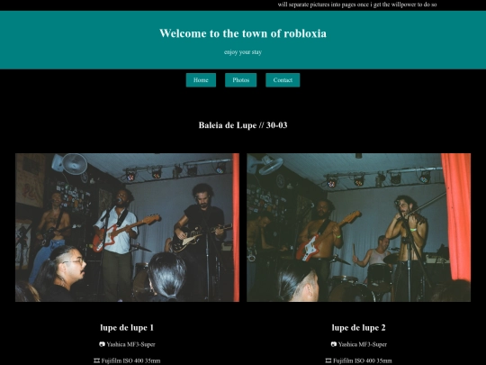 baleia-de-lupe-30 screenshot