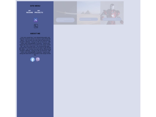 projects screenshot