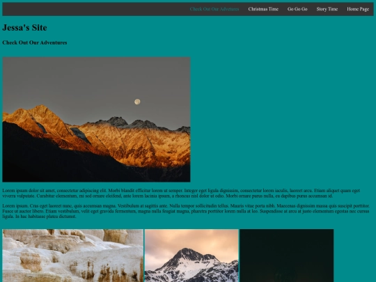 5 Page Website/page4 screenshot