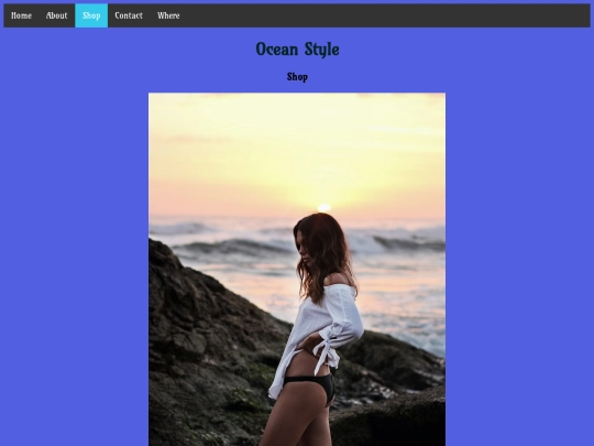 Remade 5 Page Website/Shop screenshot