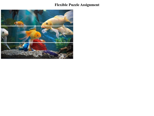 4.09/FlexiblePuzzleAssignment screenshot