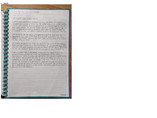 algorism/html-pages/alternative-wage-system screenshot