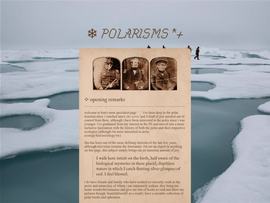 archives/polar/polarisms screenshot