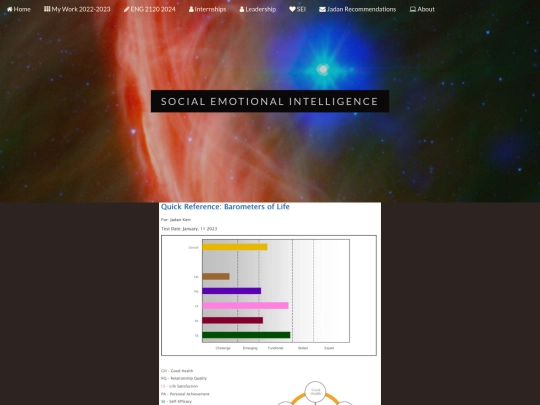 sei screenshot