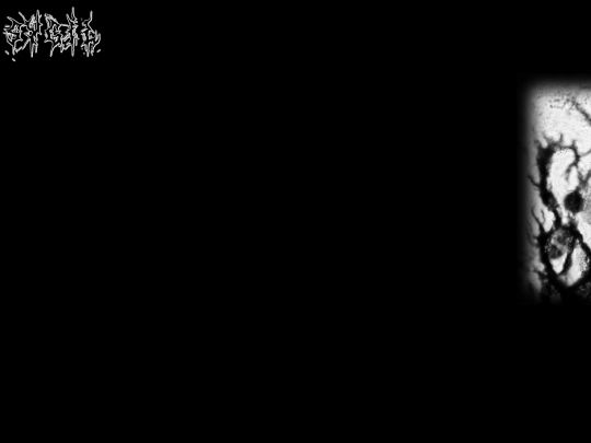 test screenshot
