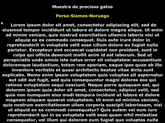examen 29 screenshot