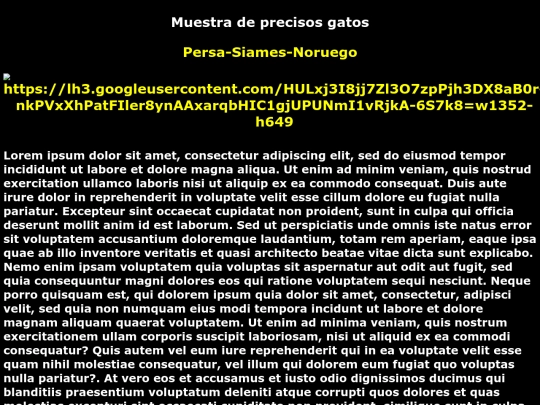 examen.29 screenshot