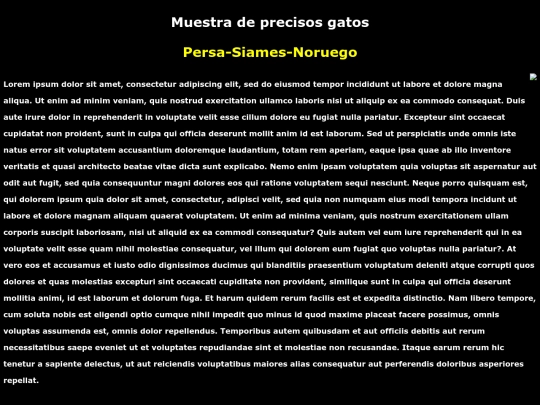 examen screenshot