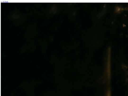 worldbuilding/characters/ellinoora screenshot