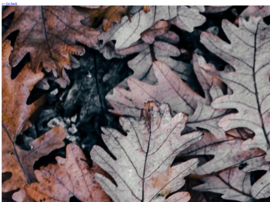 worldbuilding/characters/juuso screenshot