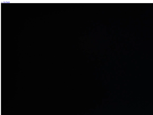 worldbuilding/characters/markus screenshot
