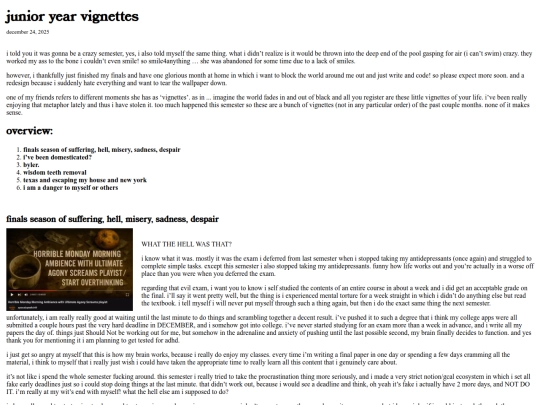 blog-homes/diary/junior-year-vignettes screenshot