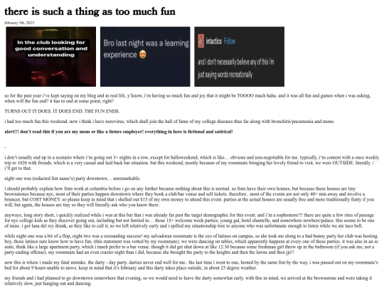 blog-homes/diary/too-much-fun screenshot