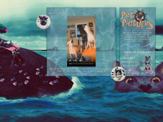 pet-posts screenshot