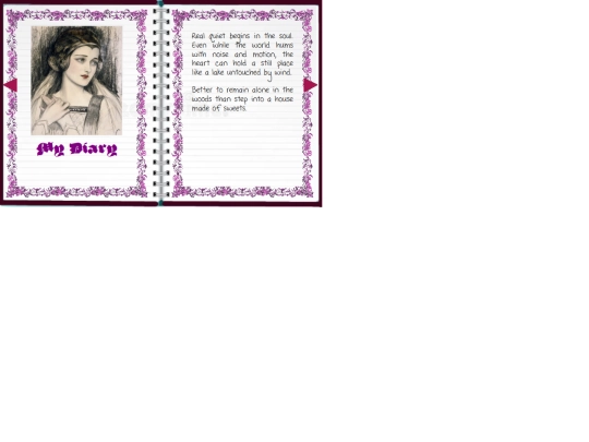 journal/diary screenshot