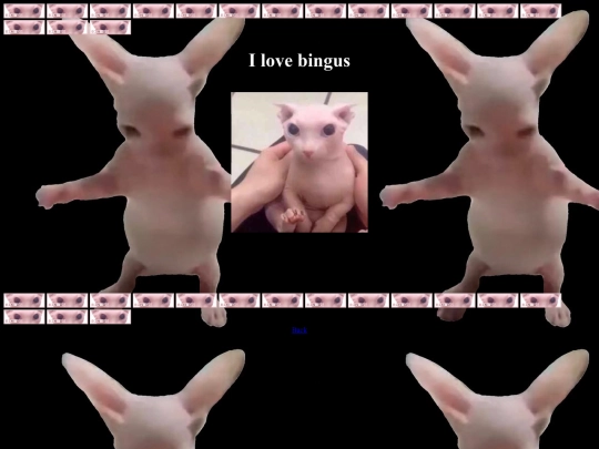 bingus screenshot