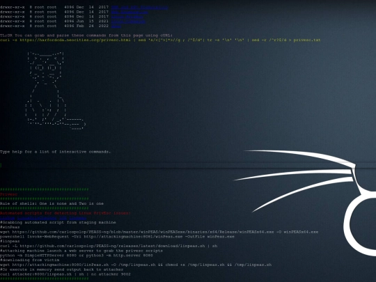 privesc screenshot