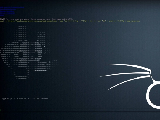 web_enum screenshot