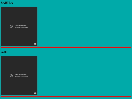 pagina2 screenshot