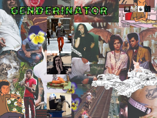 genderz screenshot