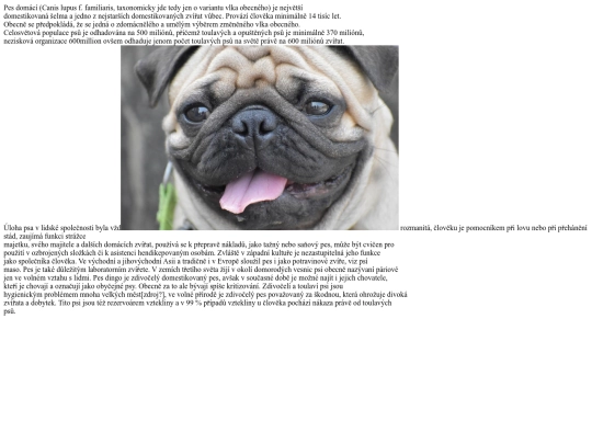 bua screenshot