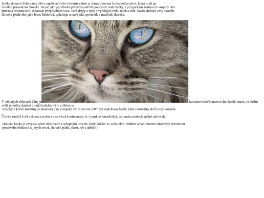 bub screenshot