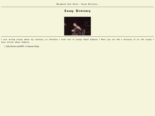 essay screenshot