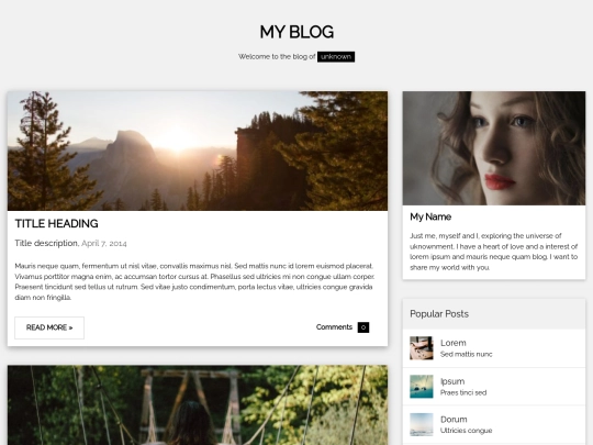 blog screenshot
